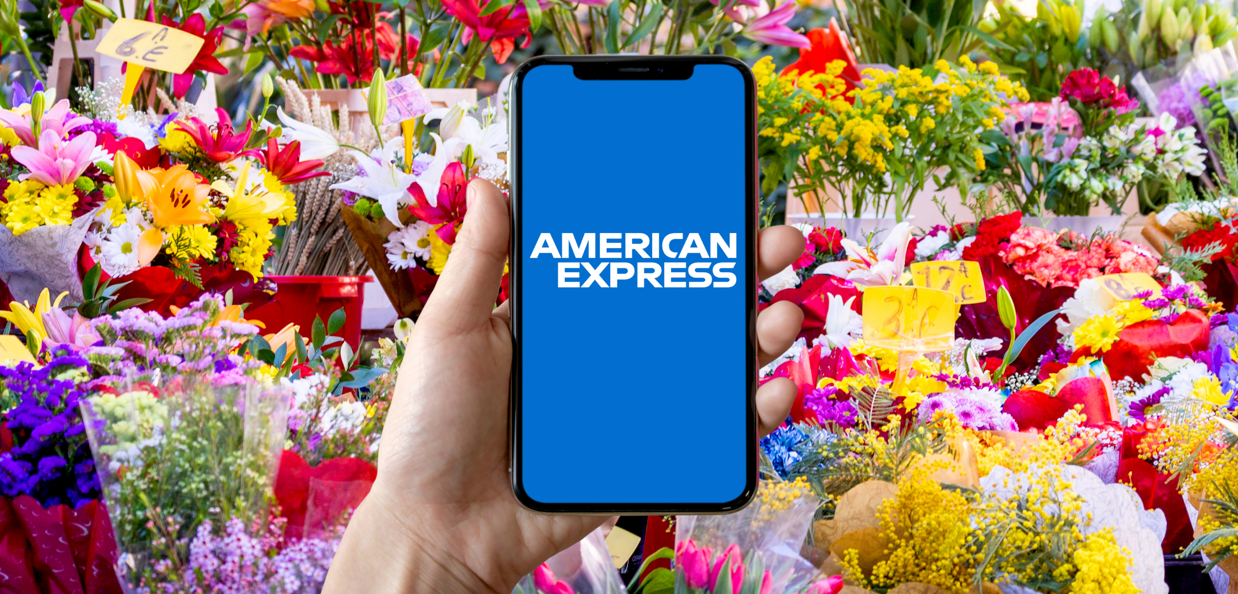 Amex_01